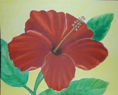 Hibiscus-Red #1 - 16x20