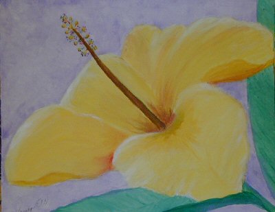 Hibiscus yellow #!